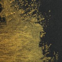 Iriodin® Perlglanzpigment Star Gold (innen), 250 ml