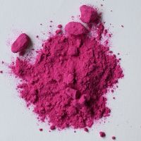 Raphael Art Pigments - Pink extra fine, 750 g_3