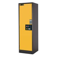 Door Colours for asecos® Safety Cabinet Q-PEGASUS-90