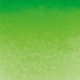 Schmincke HORADAM® AQUARELL, Permanent Green, half pan