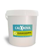 CalXnova KalkInjektionsmörtel, Eimer à 5 kg