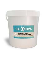 CalXnova Haft- und Grundierschlämme mit Faserarmierung, Eimer à 5 kg