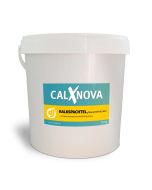 CalXnova KalkSpachtel grob mit Faserarmierung 0,2 mm, Eimer à 20 kg