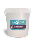 CalXnova Crack Tacking Grout, Bucket 5 kg