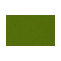 Raphael Art Pigments Green Earth Vagone, 750 g