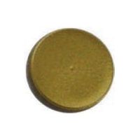 Malergoldmuschel / Painters Gold Shell - 8 g