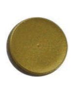Malergoldmuschel / Painters Gold Shell - 8 g